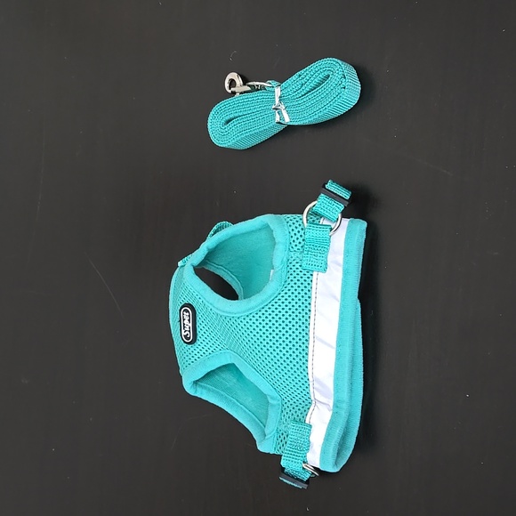 Teal Green Dog Puppy Harness with Leash Size Small - Picture 2 of 6